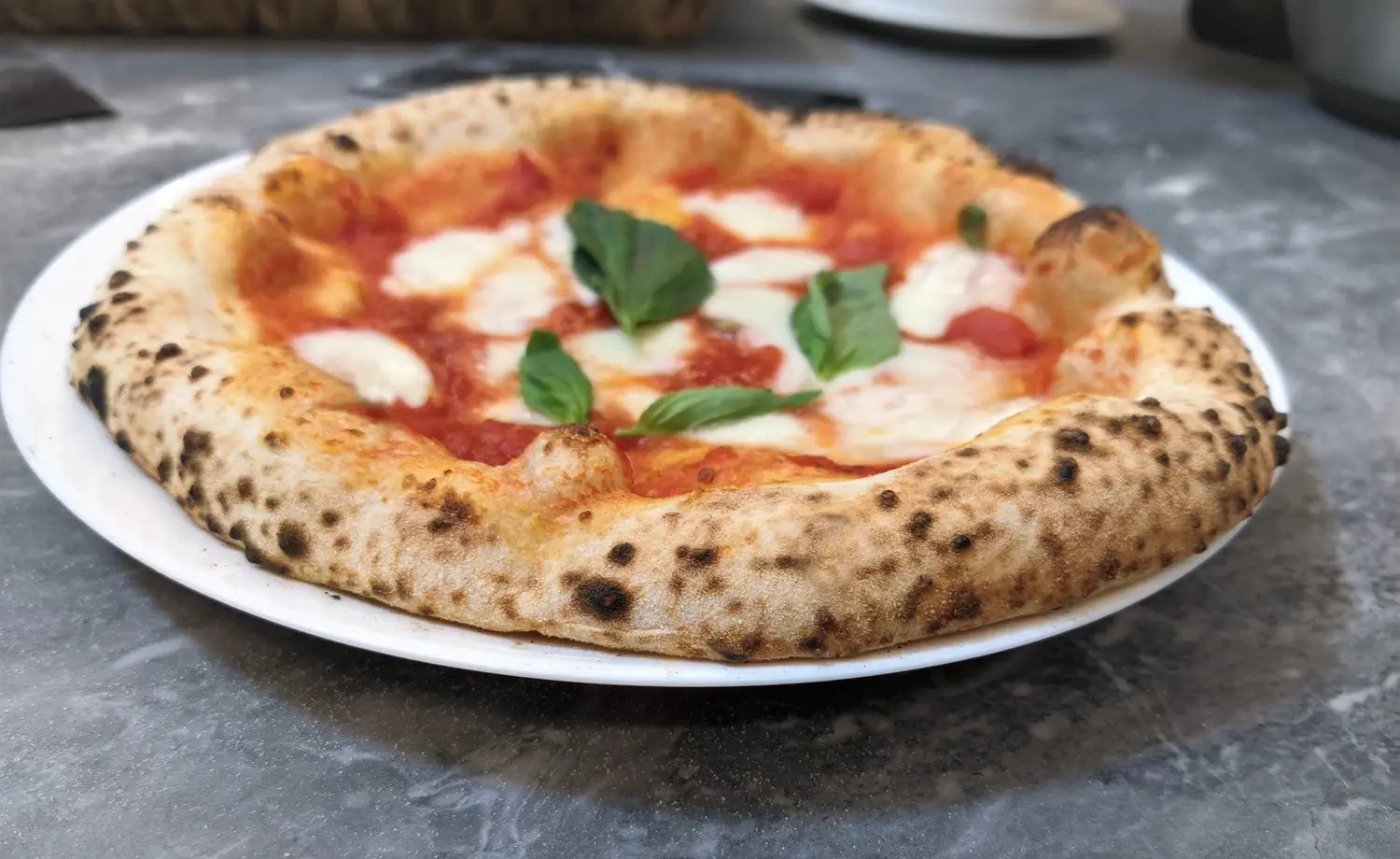 neapolitan-margherita-pizza